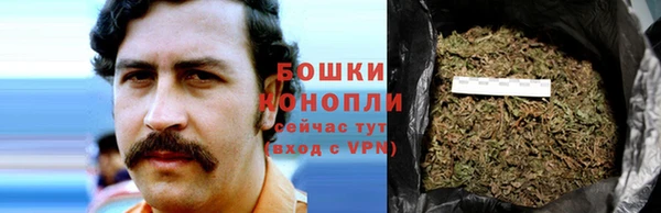 каннабис Алзамай