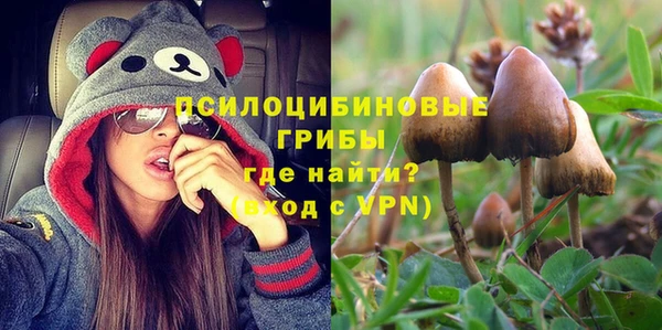не бодяженный Алексин