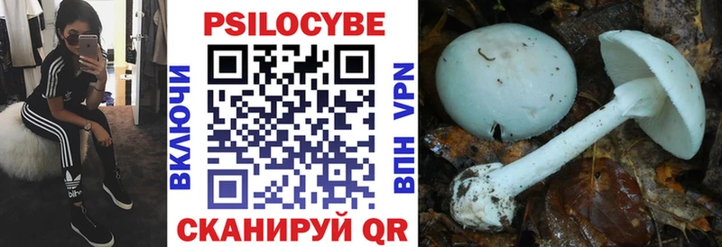 Псилоцибиновые грибы Psilocybine cubensis  Данилов 